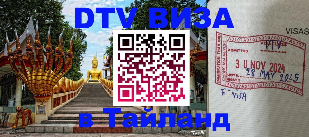 Оформление DTV визы под ключ: стоимость и тарифы, только загранпаспорт - Душанбе 